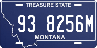 MT license plate 938256M