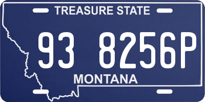 MT license plate 938256P