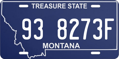 MT license plate 938273F