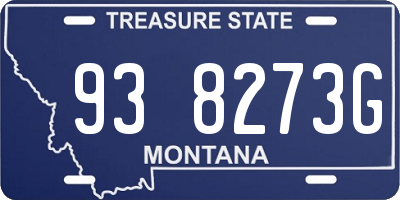 MT license plate 938273G