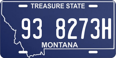 MT license plate 938273H