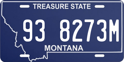 MT license plate 938273M