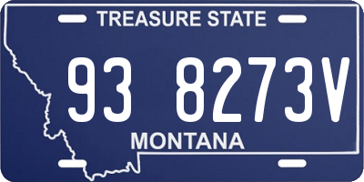 MT license plate 938273V