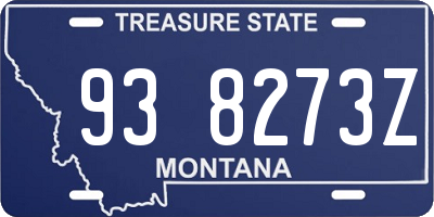 MT license plate 938273Z