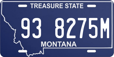 MT license plate 938275M
