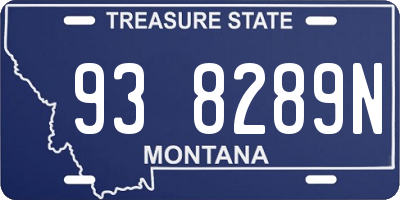 MT license plate 938289N