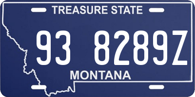 MT license plate 938289Z