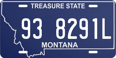 MT license plate 938291L