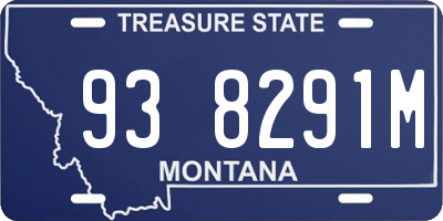 MT license plate 938291M