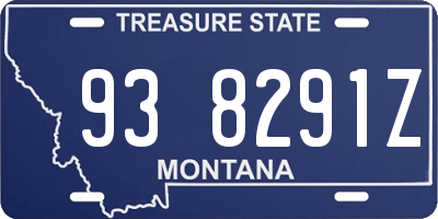 MT license plate 938291Z