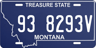 MT license plate 938293V