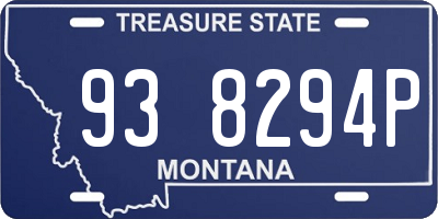 MT license plate 938294P