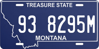 MT license plate 938295M