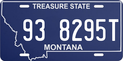 MT license plate 938295T