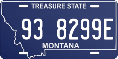 MT license plate 938299E