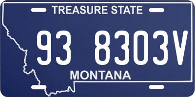 MT license plate 938303V