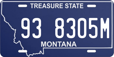 MT license plate 938305M