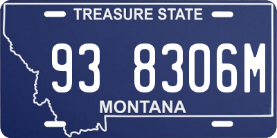 MT license plate 938306M
