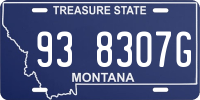MT license plate 938307G
