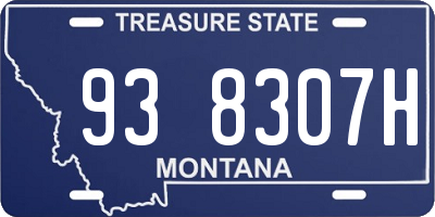 MT license plate 938307H