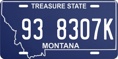 MT license plate 938307K