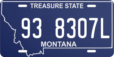 MT license plate 938307L