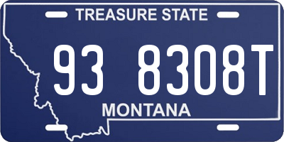 MT license plate 938308T