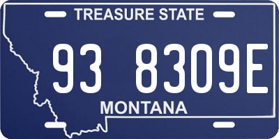 MT license plate 938309E