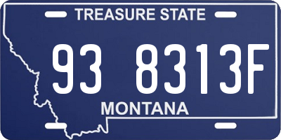 MT license plate 938313F