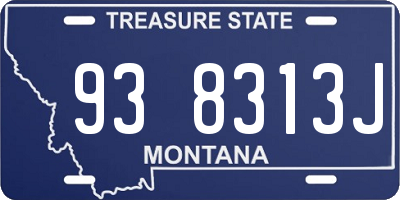 MT license plate 938313J