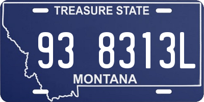 MT license plate 938313L