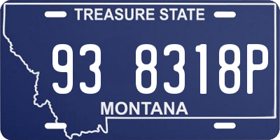 MT license plate 938318P