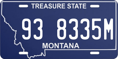 MT license plate 938335M