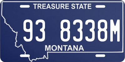 MT license plate 938338M