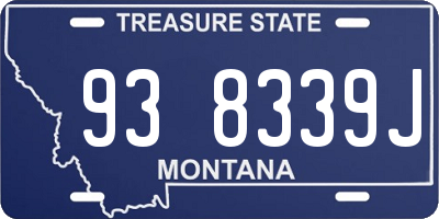 MT license plate 938339J