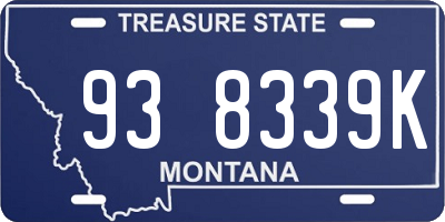 MT license plate 938339K