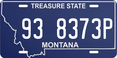 MT license plate 938373P