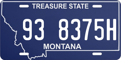 MT license plate 938375H