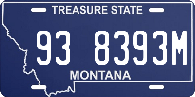 MT license plate 938393M