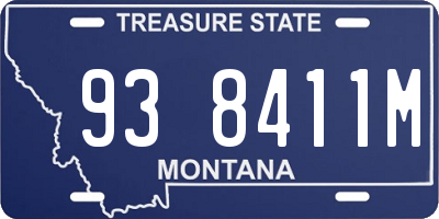 MT license plate 938411M