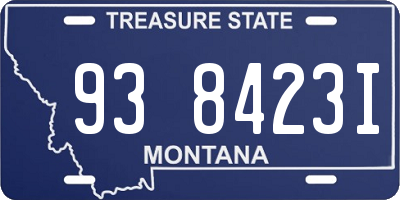 MT license plate 938423I