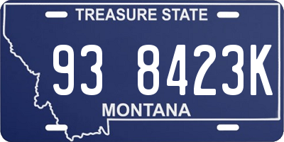 MT license plate 938423K