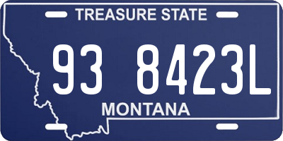 MT license plate 938423L