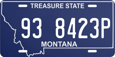 MT license plate 938423P