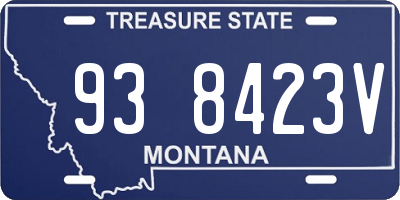 MT license plate 938423V