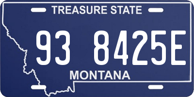 MT license plate 938425E