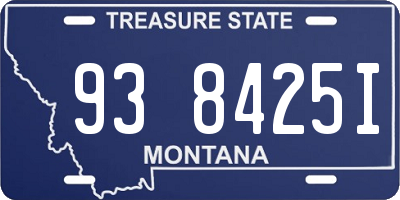 MT license plate 938425I