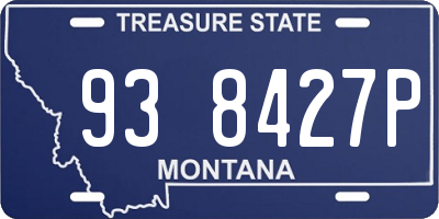 MT license plate 938427P
