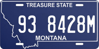 MT license plate 938428M