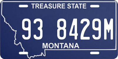 MT license plate 938429M